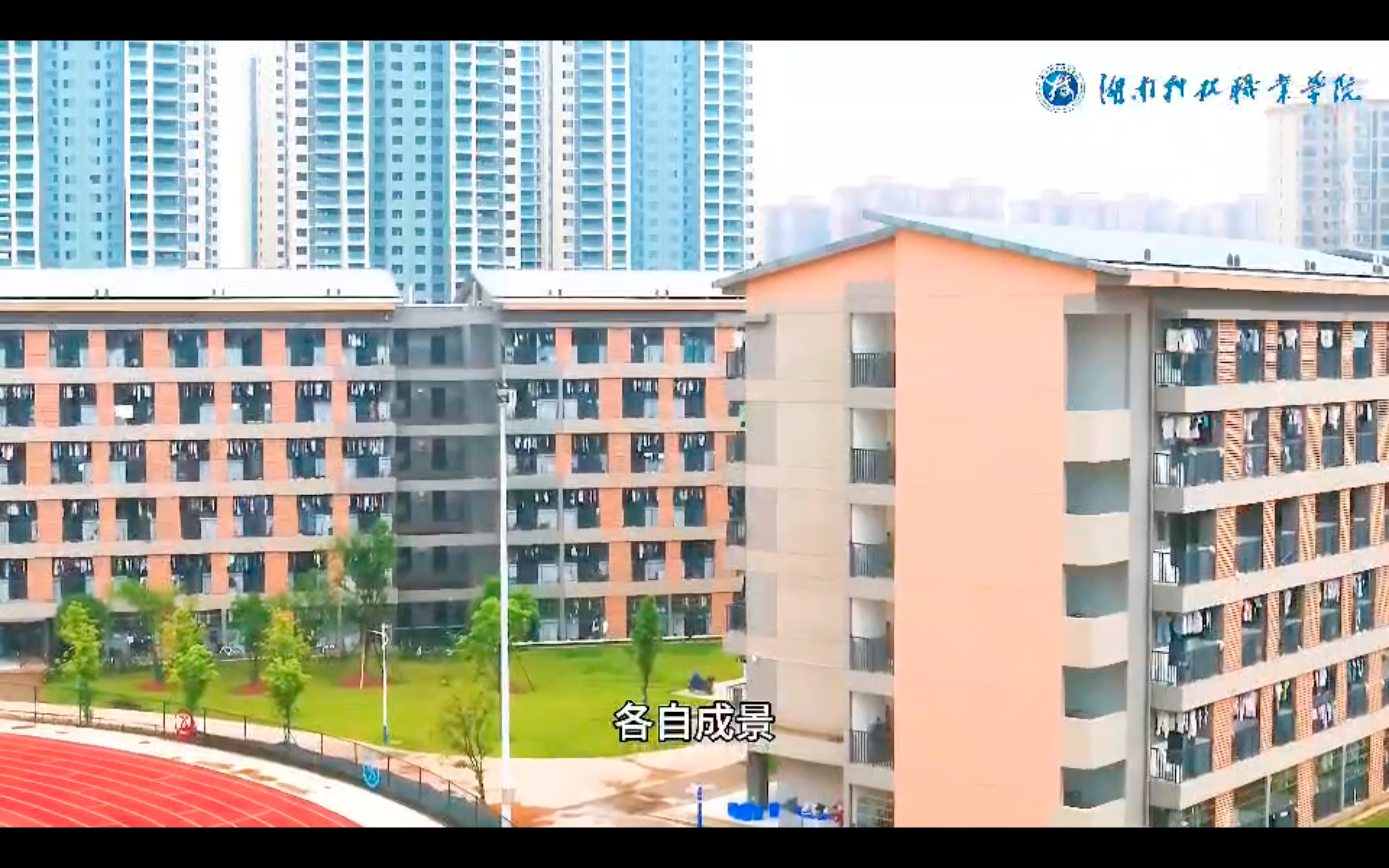 新生邀你速览“我家小院”——乐动在线注册